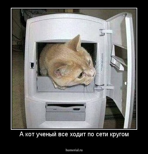 А кот ученый все ходит по сети кругом