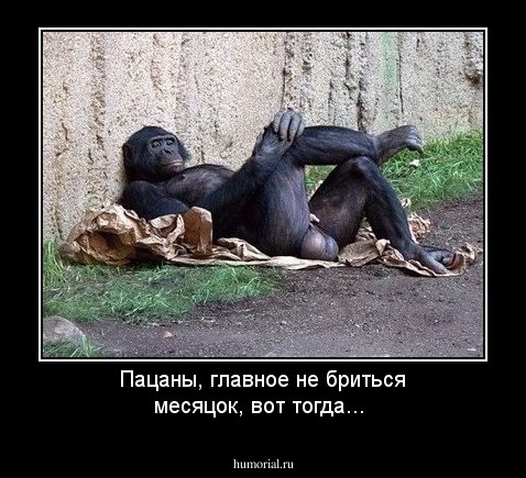 Пацаны, главное не бриться месяцок, вот тогда...