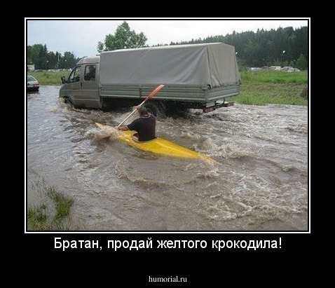 Братан, продай желтого крокодила!