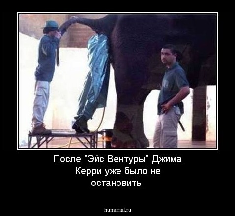 После "Эйс Вентуры" Джима Керри уже было не остановить