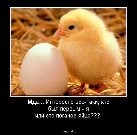 Мда... Интересно все-таки, кто был первым - я или это поганое яйцо???