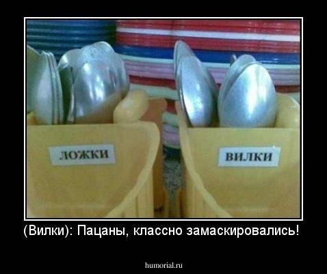 (Вилки): Пацаны, классно замаскировались!