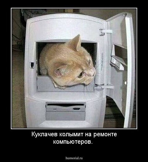 Куклачев колымит на ремонте компьютеров. 