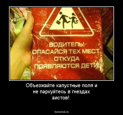 Объезжайте капустные поля и не паркуйтесь в гнездах аистов!