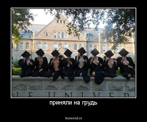приняли на грудь