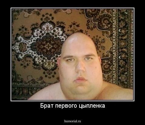 Брат первого цыпленка
