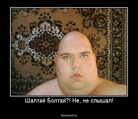 Шалтай Болтай?! Не, не слышал!