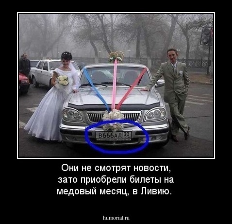 Они не смотрят новости, зато приобрели билеты на медовый месяц, в Ливию.