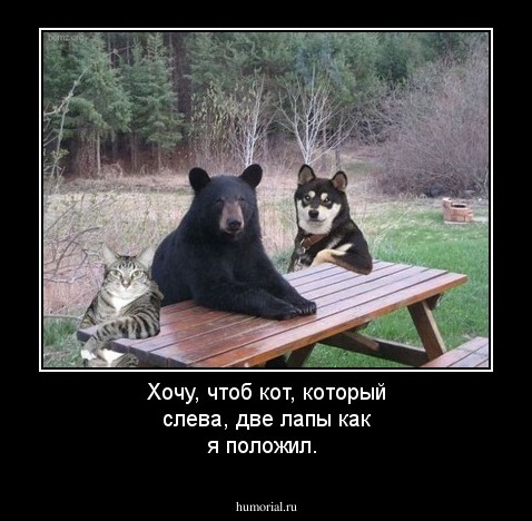 Хочу, чтоб кот, который слева, две лапы как я положил.