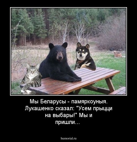 Мы Беларусы - памяркоуныя. Лукашенко сказал: "Усем прыцци на выбары!"
Мы и пришли...