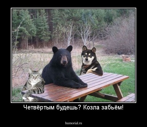 Четвёртым будешь? Козла забьём!