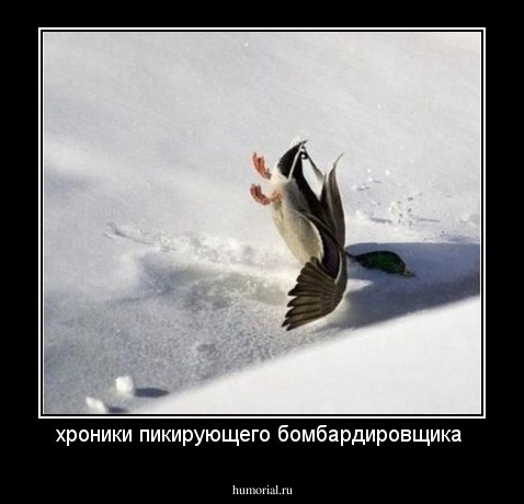 хроники пикирующего бомбардировщика