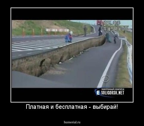 Платная и бесплатная - выбирай!