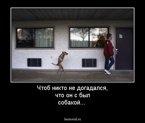 Чтоб никто не догадался, что он с был собакой...