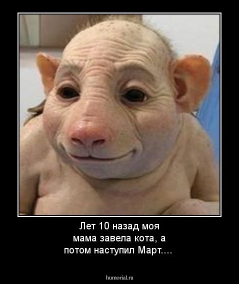 Лет 10 назад моя мама завела кота, а потом наступил Март....