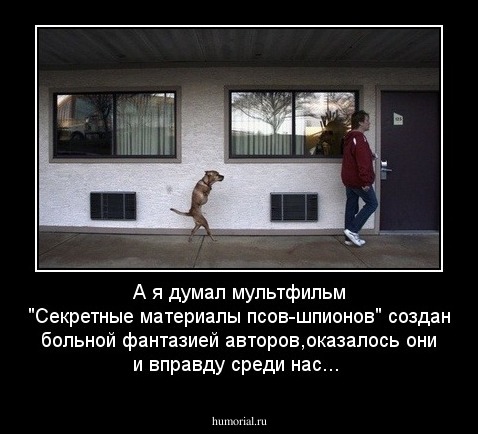 А я думал мультфильм "Секретные материалы псов-шпионов" создан больной фантазией авторов,оказалось они и вправду среди нас...