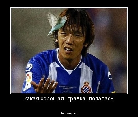 какая хорошая "травка" попалась