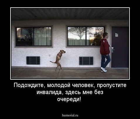 Подождите, молодой человек, пропустите инвалида, здесь мне без очереди!