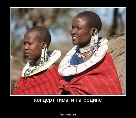 концерт тимати на родине