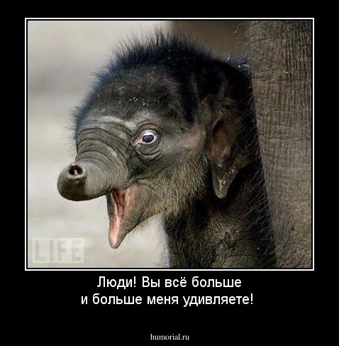 Люди! Вы всё больше и больше меня удивляете!