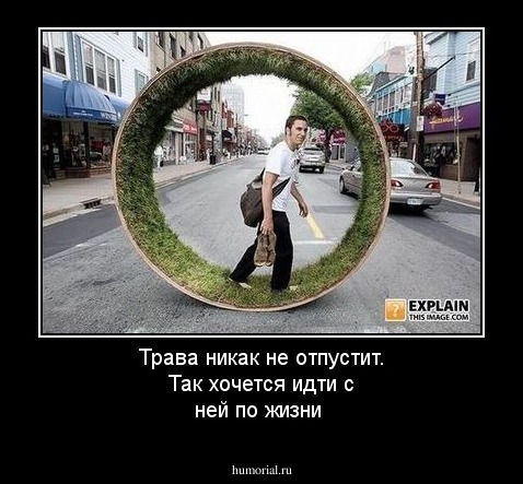 Трава никак не отпустит. Так хочется идти с ней по жизни