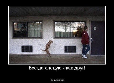 Всегда следую - как друг!