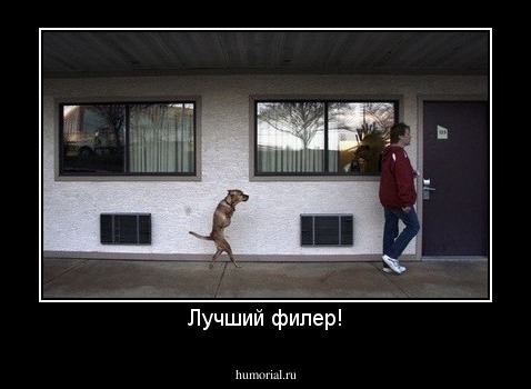 Лучший филер!