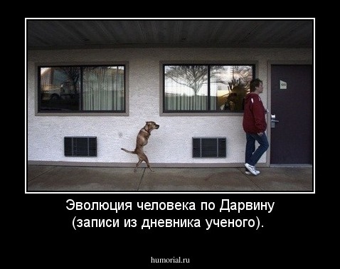 Эволюция человека по Дарвину (записи из дневника ученого).