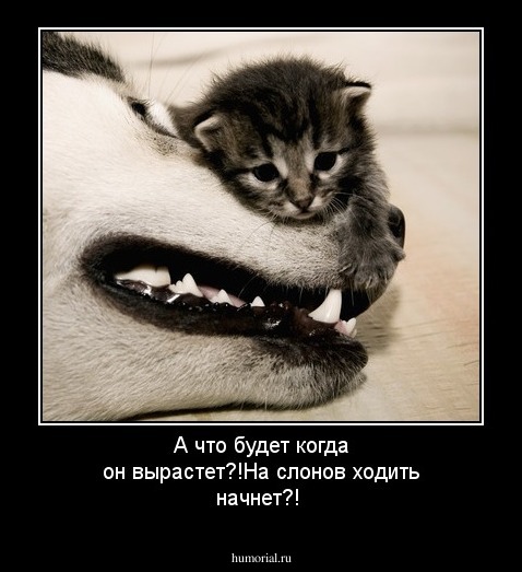 А что будет когда он вырастет?!На слонов  ходить начнет?!