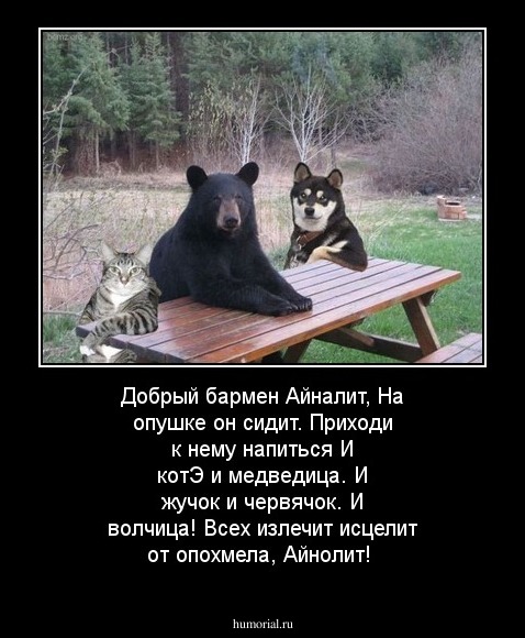 Добрый бармен Айналит, 
На опушке он сидит. 
Приходи к нему напиться 
И котЭ и медведица. 
И жучок и червячок. И волчица! 
Всех излечит исцелит от опохмела, Айнолит!




