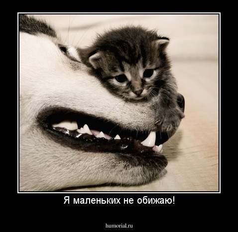 Я маленьких не обижаю!