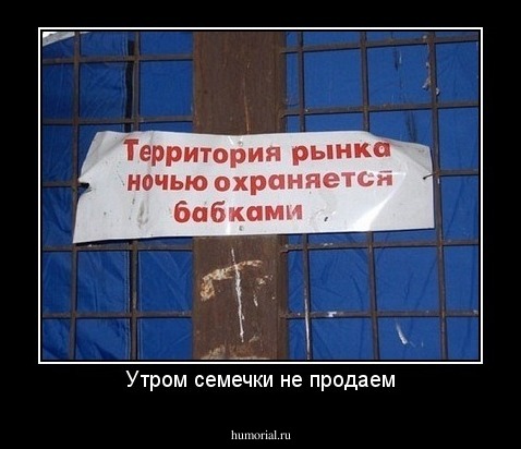 Утром семечки не продаем