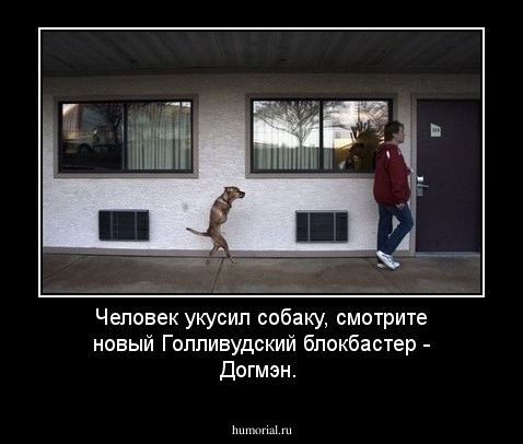 Человек укусил собаку, смотрите новый Голливудский блокбастер - Догмэн.