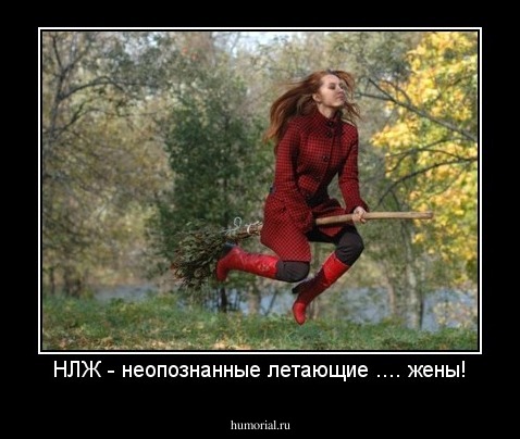 НЛЖ - неопознанные летающие .... жены!