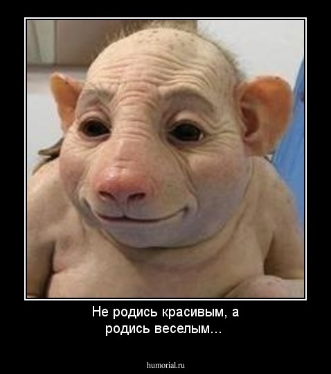 Не родись красивым, а родись веселым...