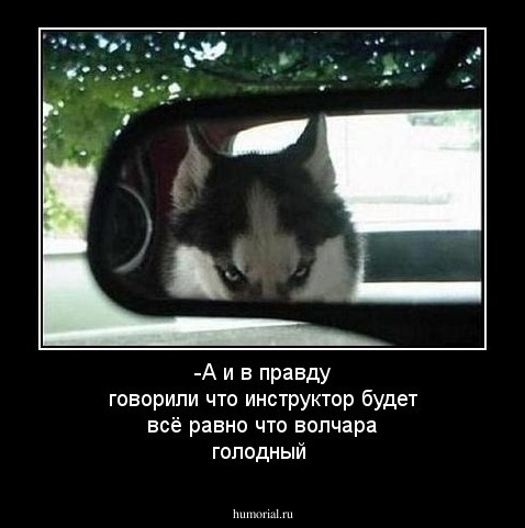 -А и в правду говорили что инструктор будет всё равно что волчара голодный