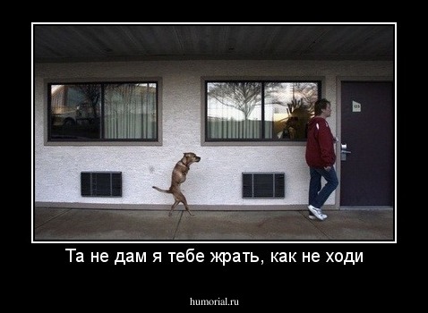 Та не дам я тебе жрать, как не ходи