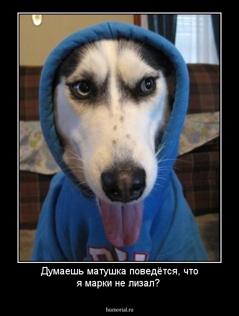 Думаешь матушка поведётся, что я марки не лизал?