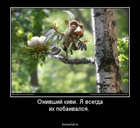 Оживший киви. Я всегда их побаивался.