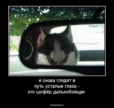 и снова глядят в путь усталые глаза - это шофёр дальнобойщик