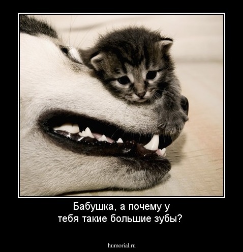 Бабушка, а почему у тебя такие большие зубы?