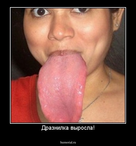 Дразнилка выросла!