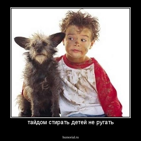 тайдом стирать детей не ругать