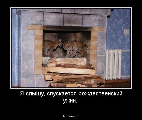 Я слышу, спускается рождественский ужин.