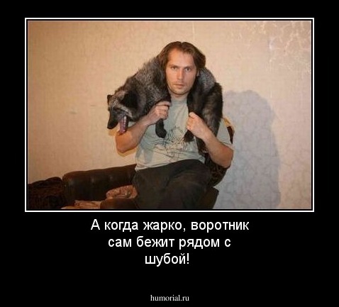 А когда жарко, воротник сам бежит рядом с шубой!