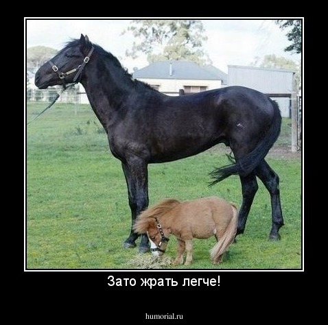 Зато жрать легче!