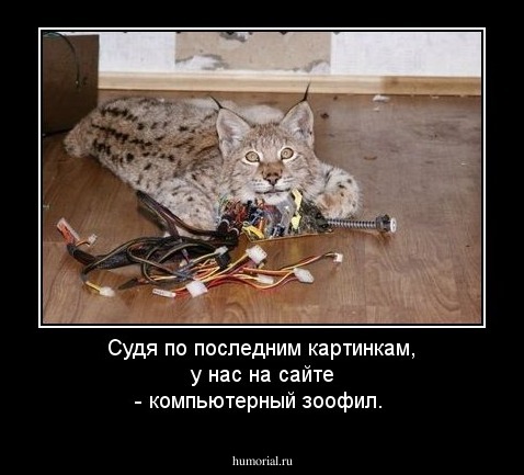 Судя по последним картинкам, у нас на сайте - компьютерный зоофил.