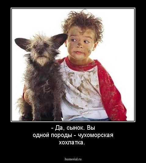 - Да, сынок. Вы одной породы - чухоморская хохлатка.