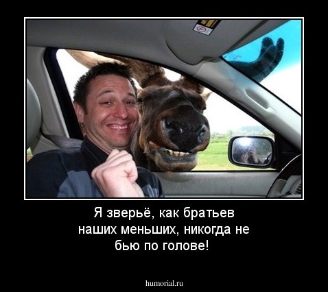 Я зверьё, как братьев наших меньших, никогда не бью по голове!