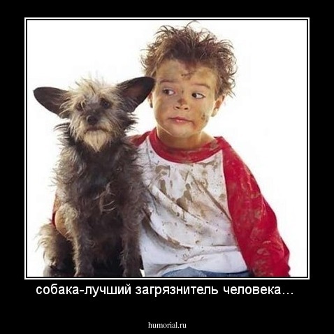собака-лучший загрязнитель человека...